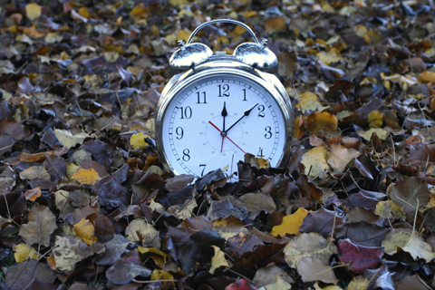Alarm clock amongst a pile of fall leaves